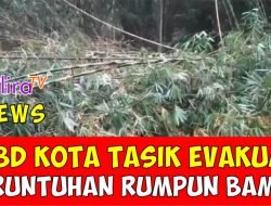 Tutupi Jalan Perbatasan, BPBD Kota Tasikmalaya Evakuasi Reruntuhan Rumpun Bambu