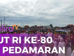 Karnaval HUT RI ke-80 di Pedamaran Berlangsung Meriah dan Penuh Kebersamaan