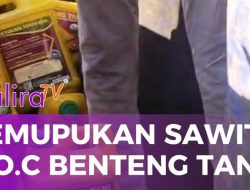 PT Rotorindo Tani Nusantara Lakukan Pemupukan 100 Hektar Sawit dengan Pupuk Organik Cair Benteng Tani